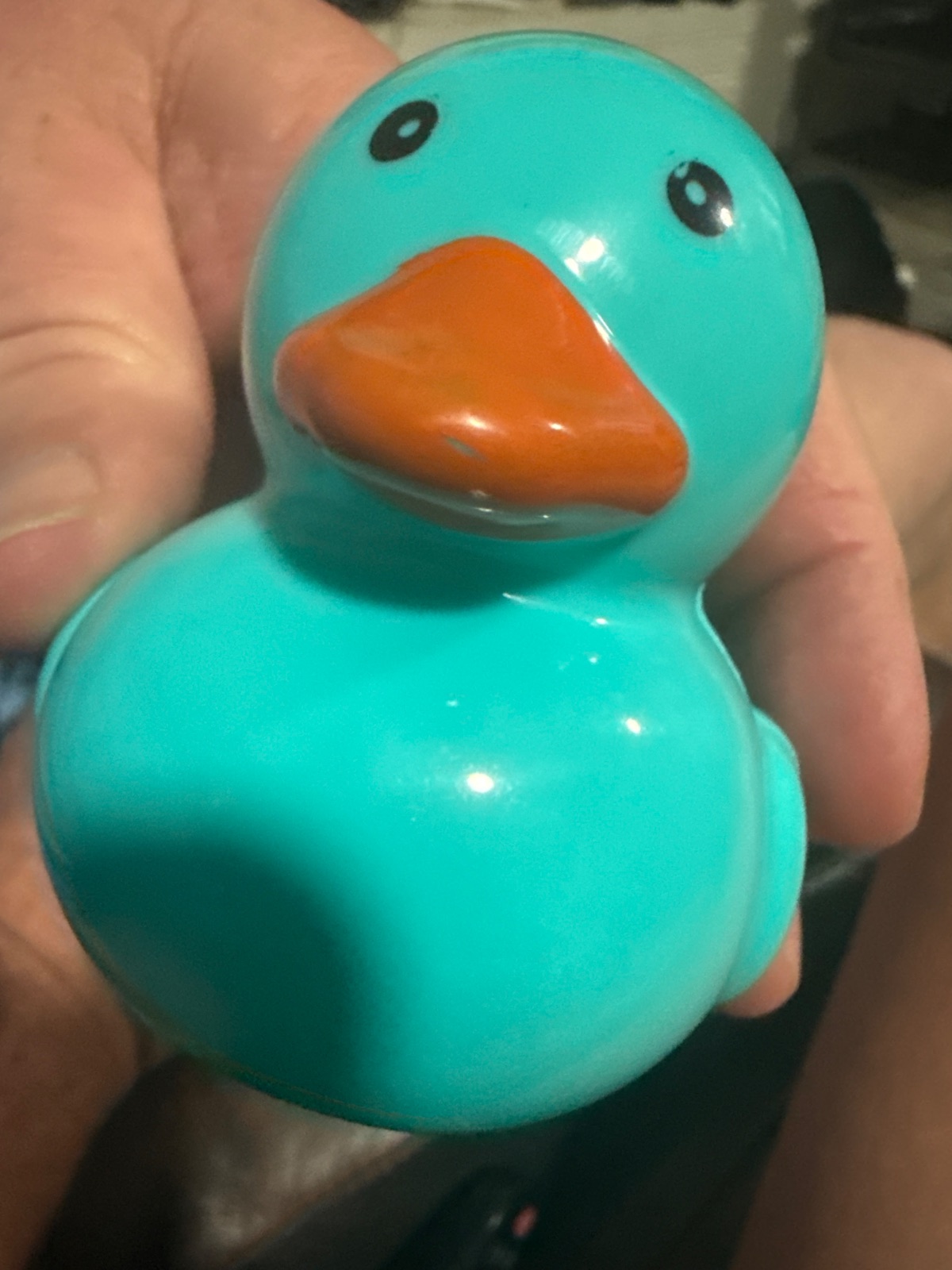 Sir quack a duck