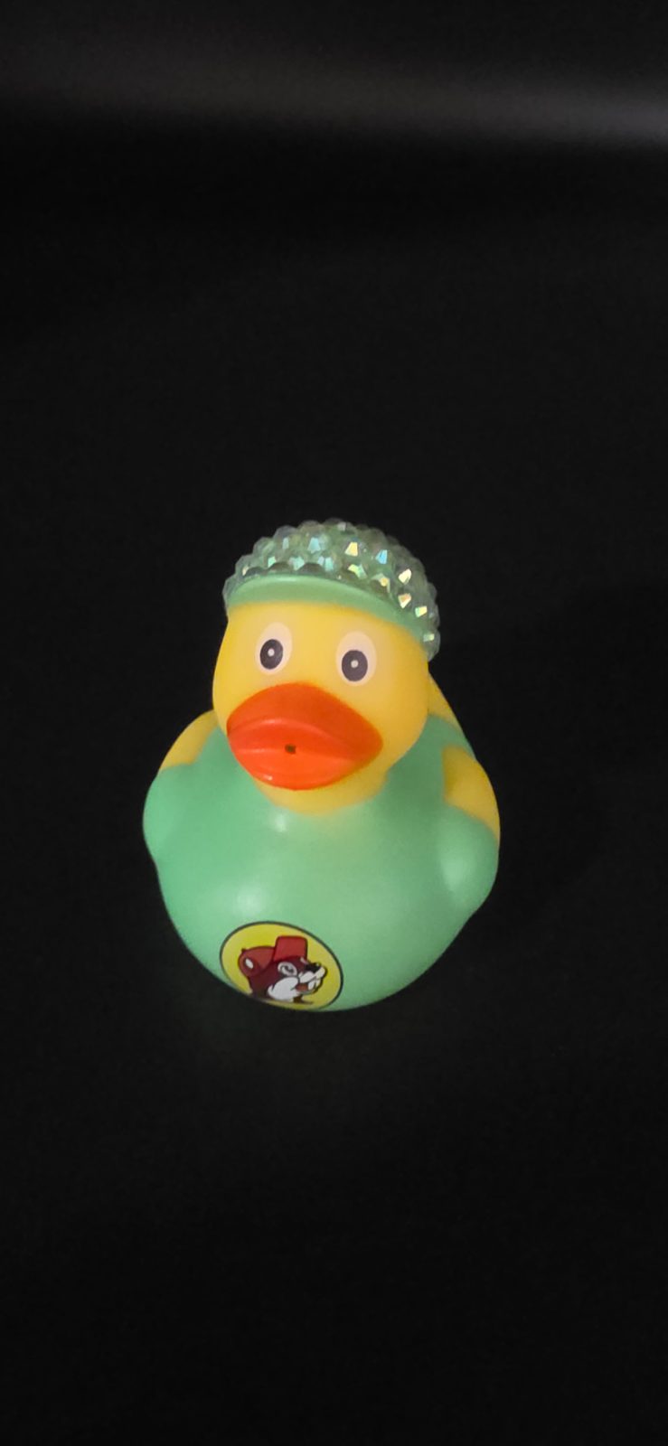 Duckingstuff
