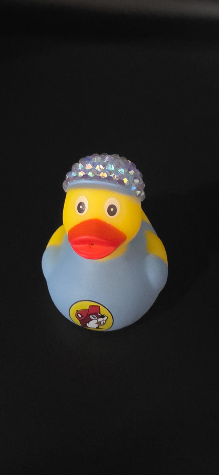 Professor Puddleduck
