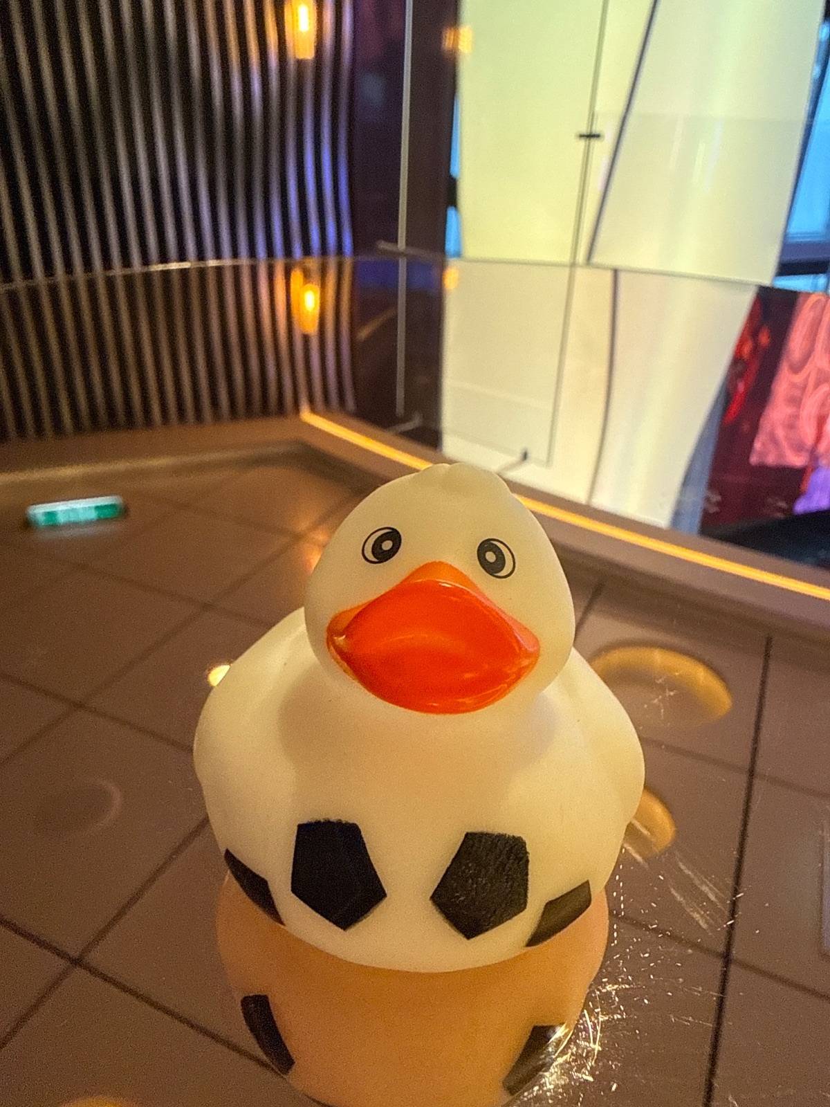 Soccer Ducky